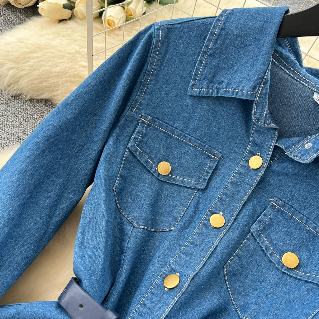 Sexy long sleeve Slit Pockets Single Breasted High Waist Pleated dress Vestidos sundress Women Evening Party dress